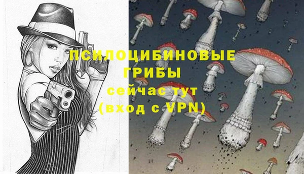mix Арсеньев