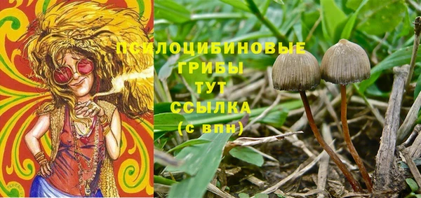 COCAINE Богородицк