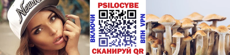 где купить Кинель Галлюциногенные грибы ЛСД